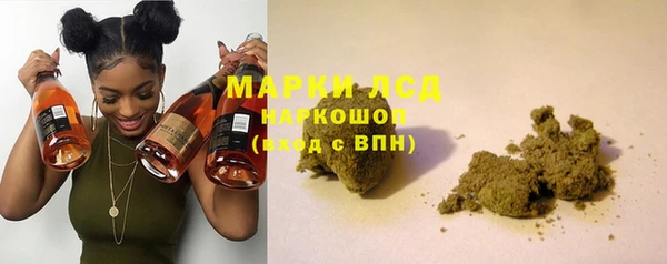 индика Нефтегорск