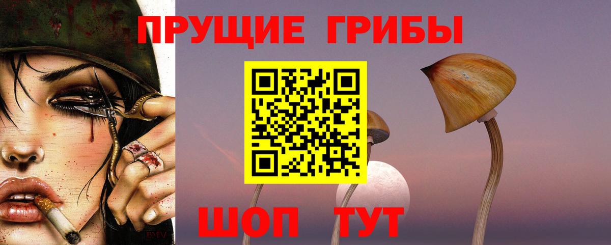 Галлюциногенные грибы Psilocybine cubensis  Вход с VPN  Сочи  Псилоцибиновые грибы GOLDEN TEACHER 
